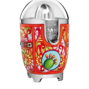 آب مرکبات گیری اسمگ طرح دولچه و گابانا مدل CJF01DG
