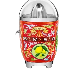 آب مرکبات گیری اسمگ طرح دولچه و گابانا مدل CJF01DG